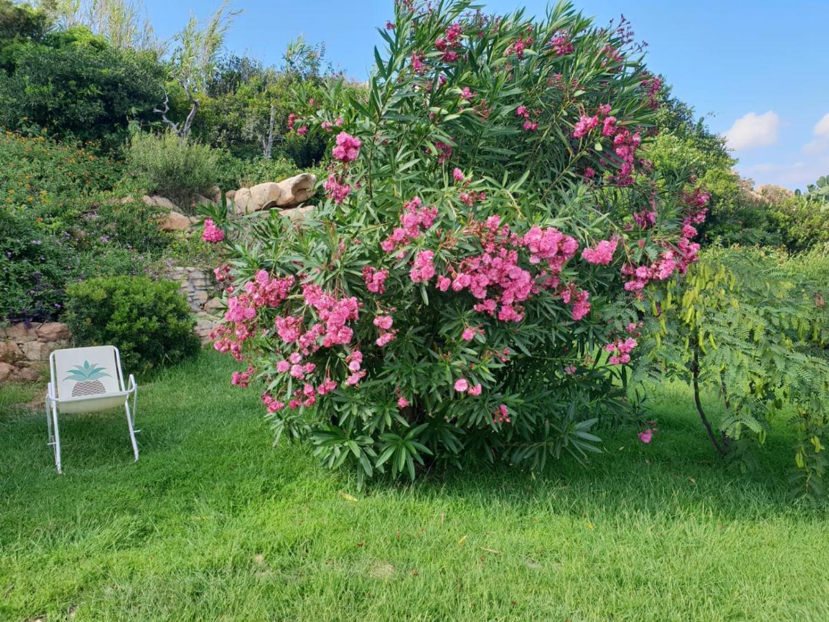 Apartament Giulianahouse La Maddalena  Zewnętrze zdjęcie