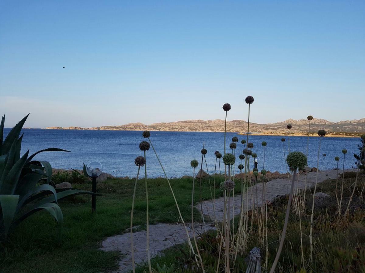 Apartament Giulianahouse La Maddalena  Zewnętrze zdjęcie